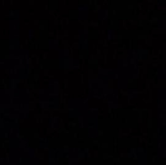 Meet your Posher, Nikki - Picture 1 of 1